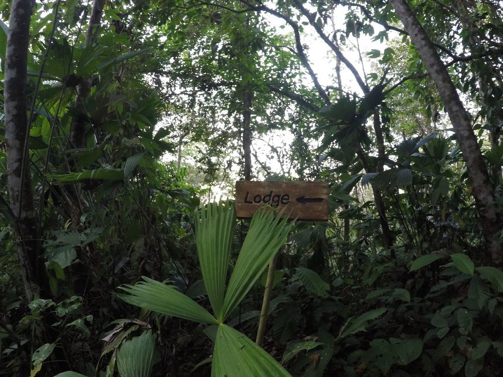 Danta Corcovado Lodge Rincón Exterior foto